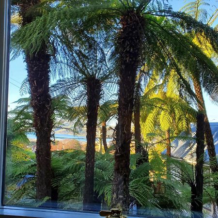 Apartamento Koru Flat Dunedin Exterior foto